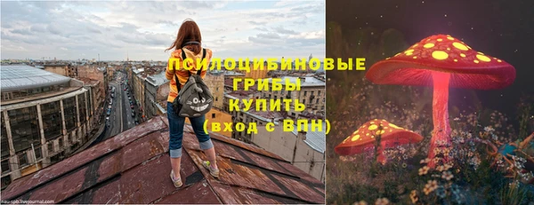 молекула духа Верхний Тагил