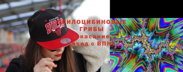 spice Володарск