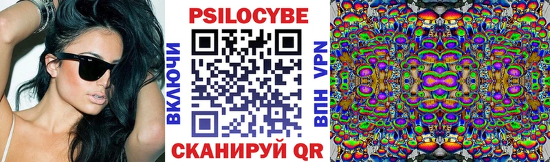 Купить  Лермонтов  Псилоцибиновые грибы мицелий 